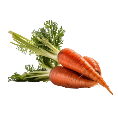 Carrot (Juice Bag)